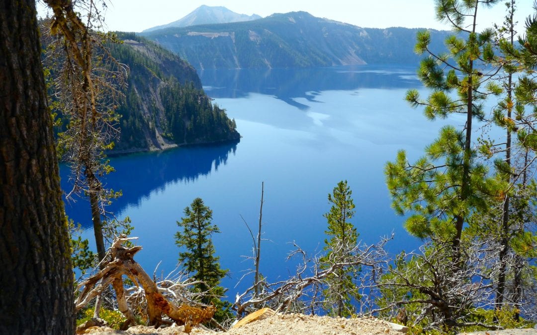 Campground Review: Mazama Village Campground in Crater Lake National Park, Oregon