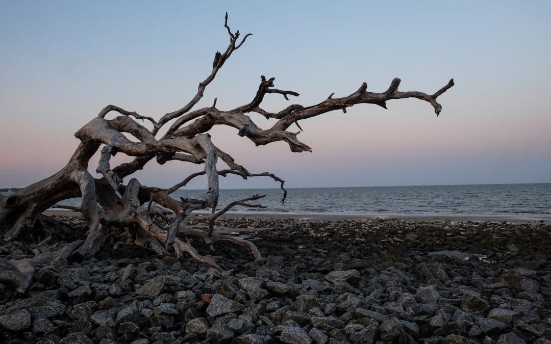 Jekyll Island: A Trip Planner from The RV Atlas