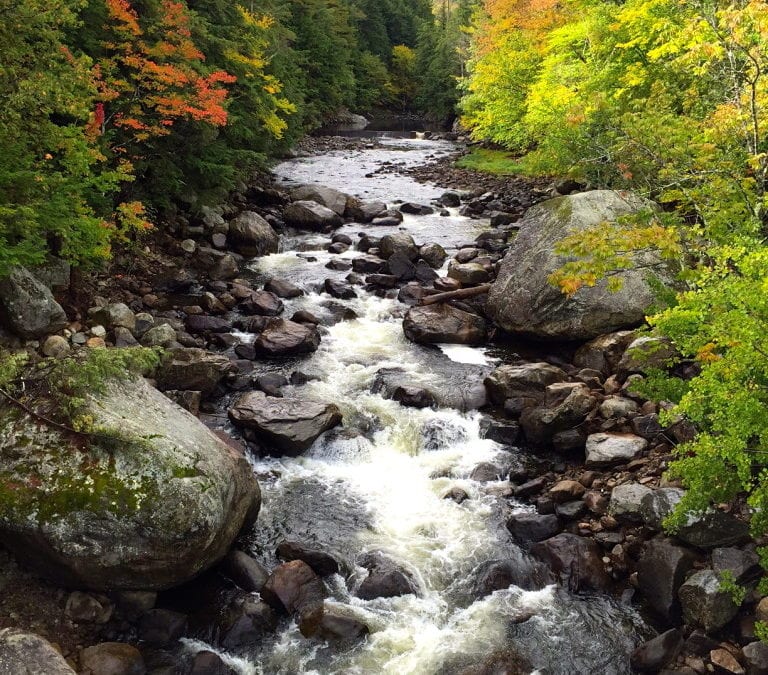 Underrated Camping Destinations: New York State
