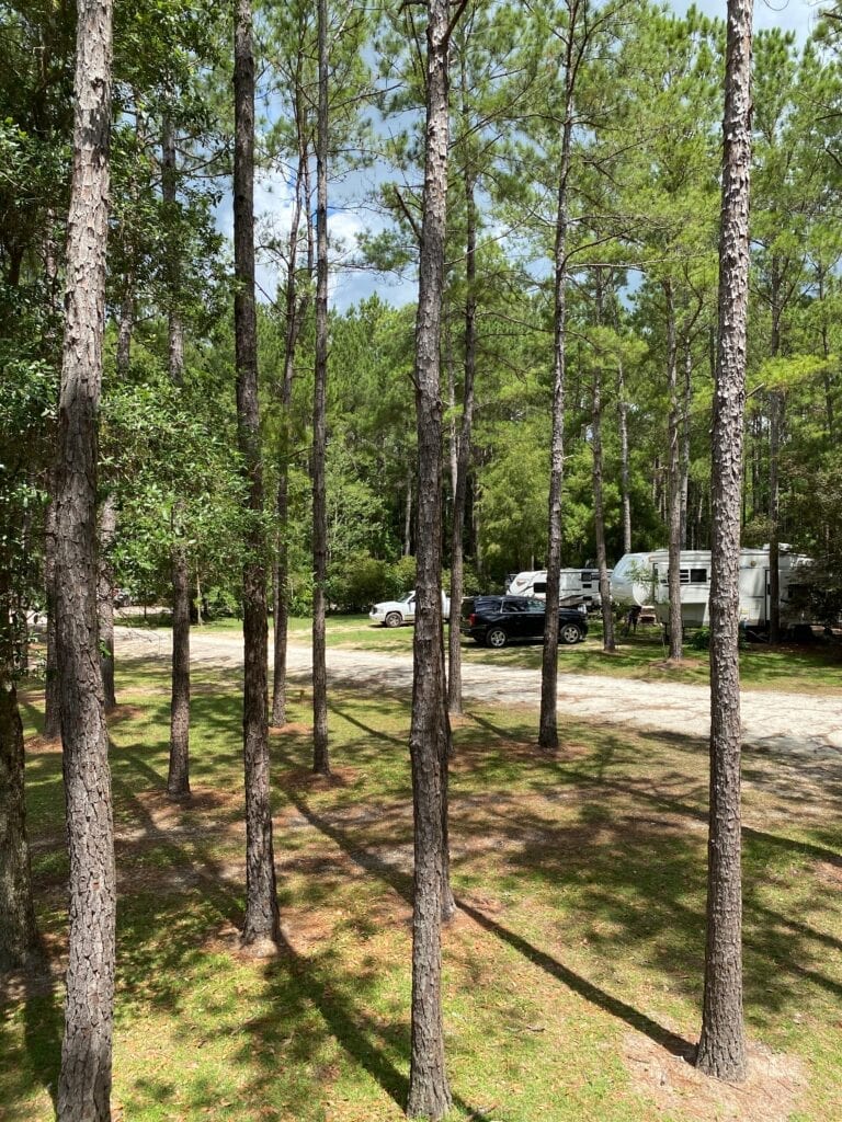 Jellystone Park of the Alabama Gulf Coast