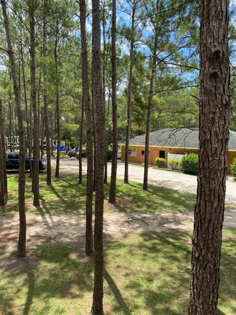 Jellystone Park of the Alabama Gulf Coast