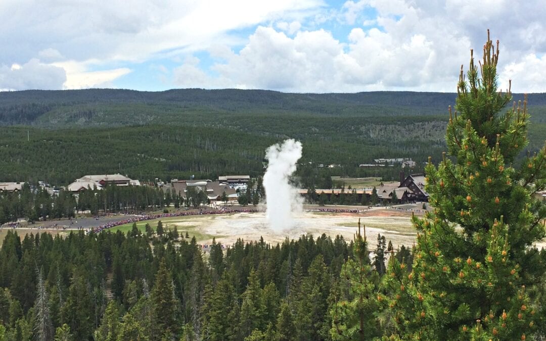 Planning our Summer 2021 Trip to Yellowstone National Park